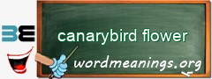 WordMeaning blackboard for canarybird flower